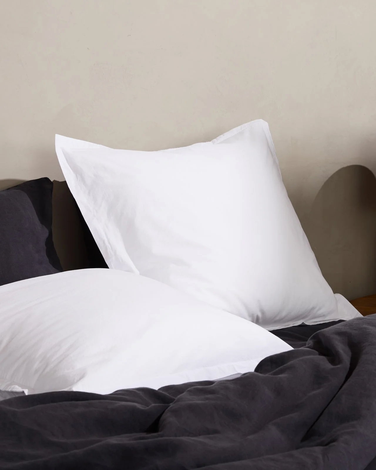 Brushed Cotton Euro Sham (White) - Image 2