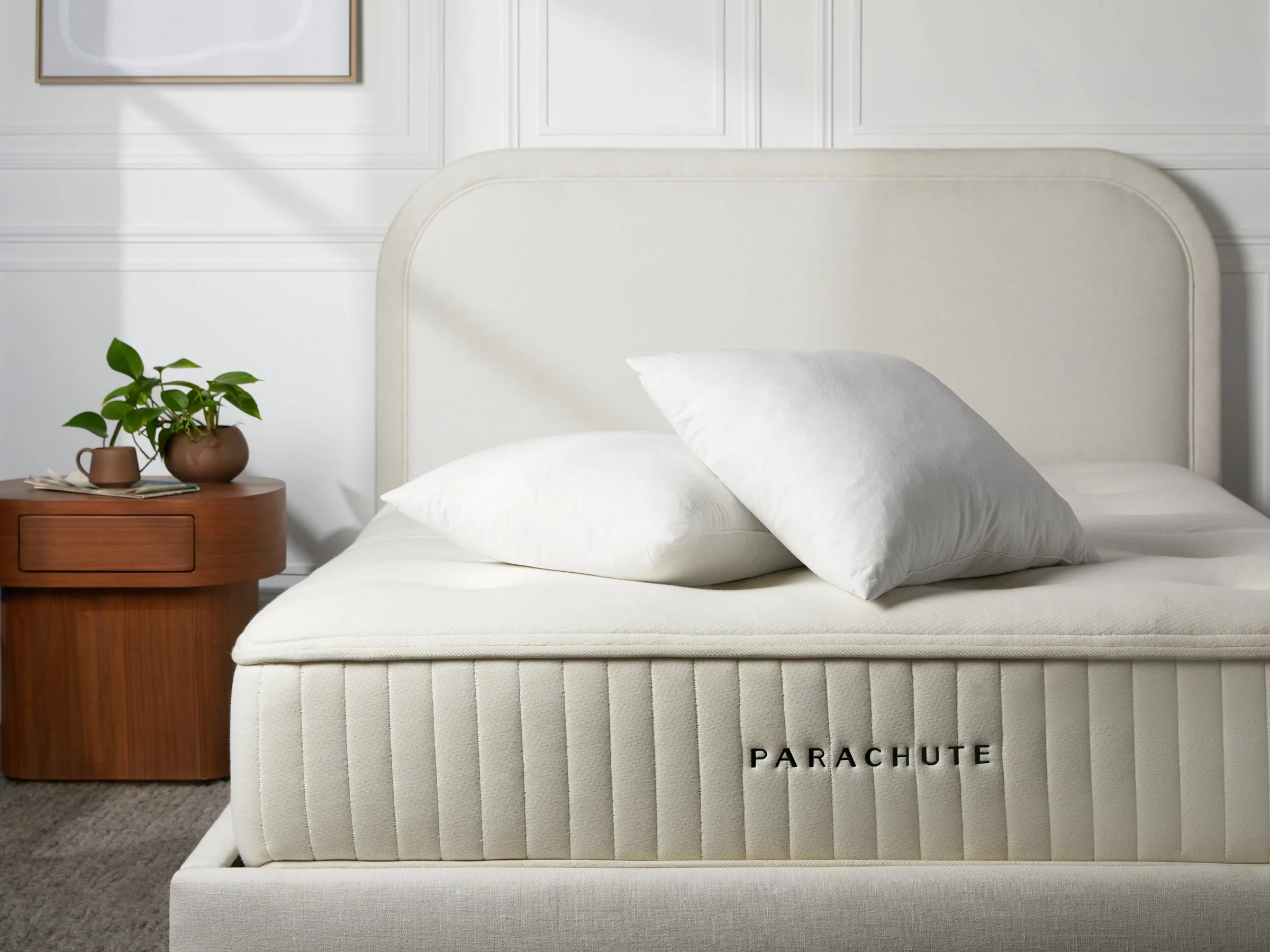 Down Decorative Lumbar Pillow Insert - Image 3